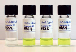 Saligae